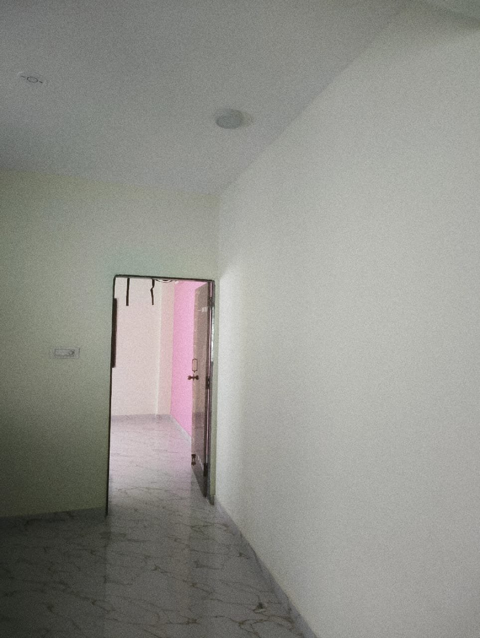 Professional wall painting